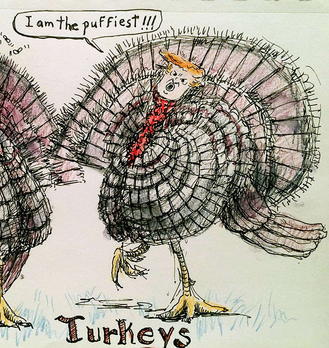 Mark McCullen turkey